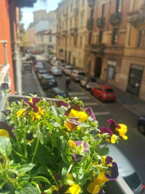 Apartmán Mini Sarpi Milán Exteriér fotografie